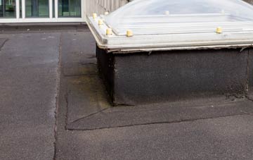 disadvantages of Plot Street flat roofs