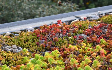 the cost of Plot Street green roof installation