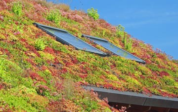 Plot Street living roof systems