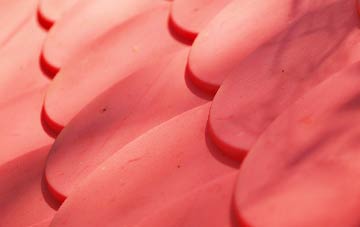 Plot Street plastic roof costs