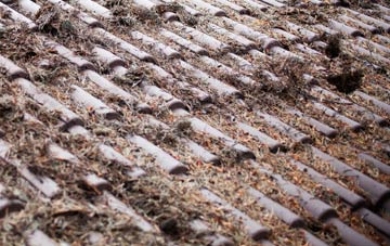 Plot Street roof cleaning companies