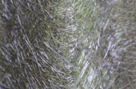 Plot Street fibreglass roof work